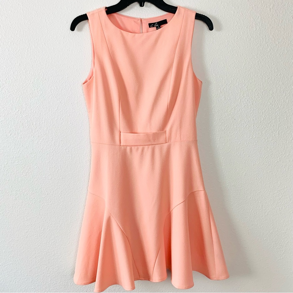 C. Luce Mini Corral Sleeves Dress NWT